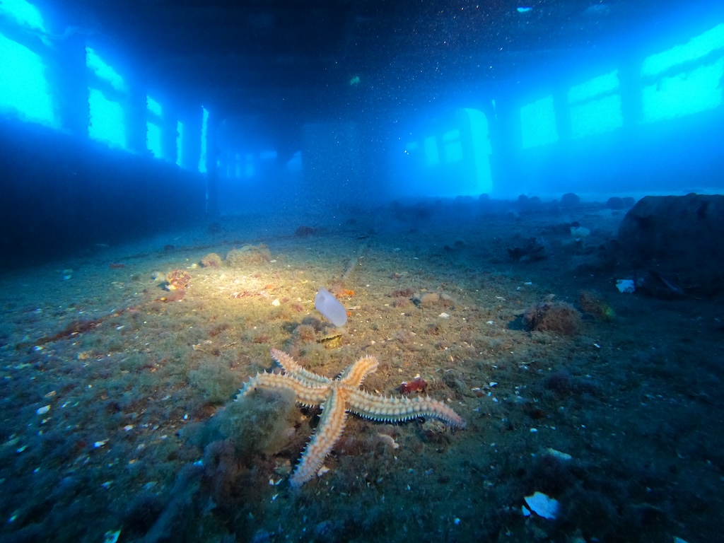 DCIM100GOPROGOPR9948.JPG