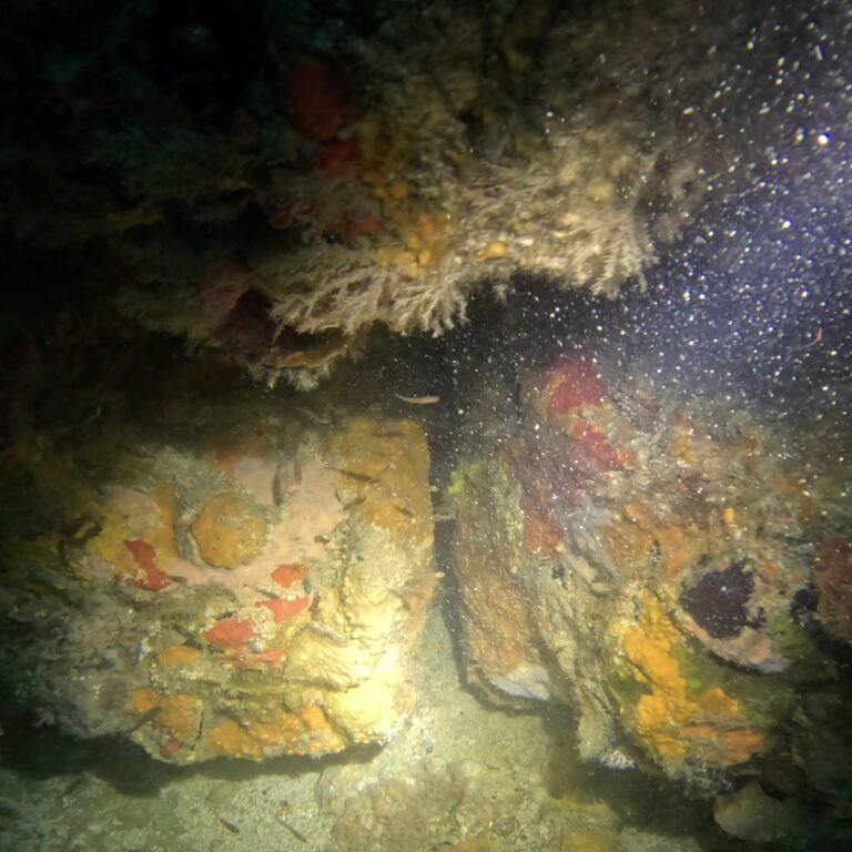 Koh Rong Nang Training Buoy Technical dive Site