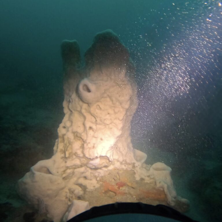Koh Rong Nang Training Buoy Technical dive Site