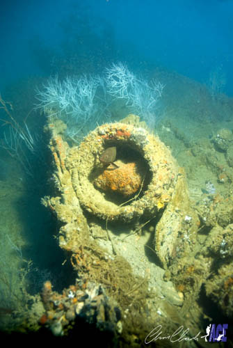Technical Dives in the Gulf of Thailand Picture credit to Chris Clark, www.acemarineimages.com